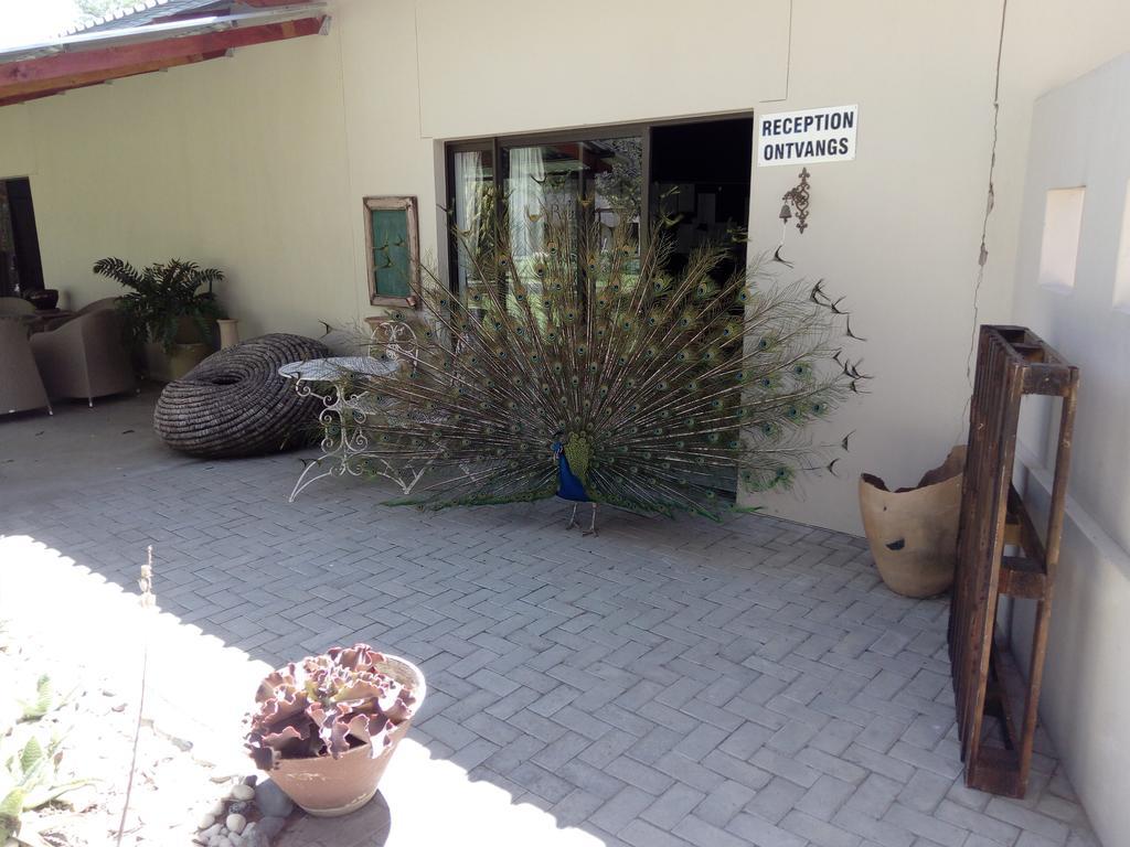 Xain Quaz Camp Hotel Gobabis Luaran gambar